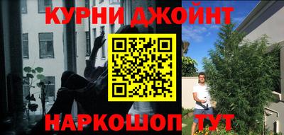 apvp Бийск