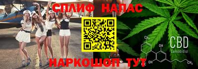 apvp Бийск