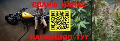 гашик Беслан