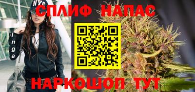 apvp Бийск