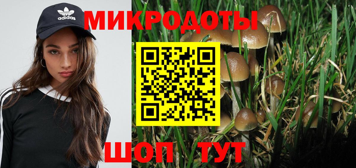 Псилоцибиновые грибы Psilocybe Белгород