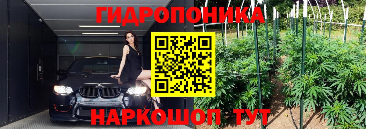 Белгород  Бошки марихуана планчик  Вход с VPN  Канабис сатива  Бошки марихуана THC 21% 